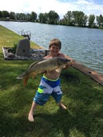 Carp