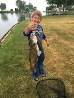 Catfish