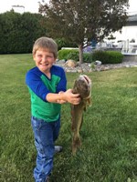 Catfish2