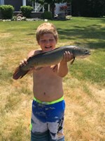 Dogfish2
