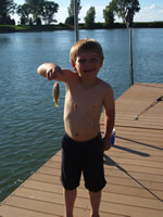 Perch