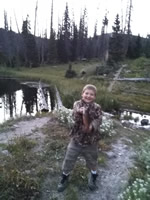blurry fish colorado